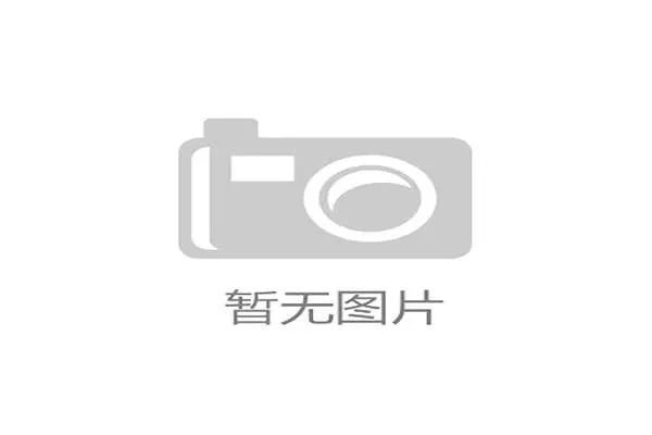 看见小威廉姆斯提着那个包，我和朋友都愣住了——那包看着比我一个月工资还值钱