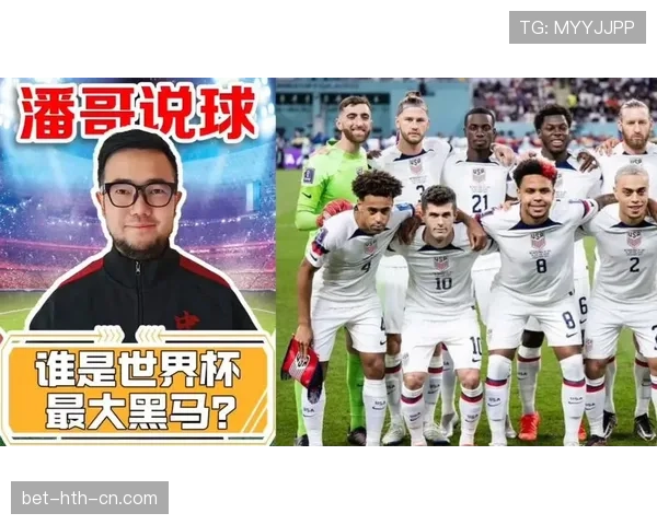 世界杯B组黑马球队成长轨迹